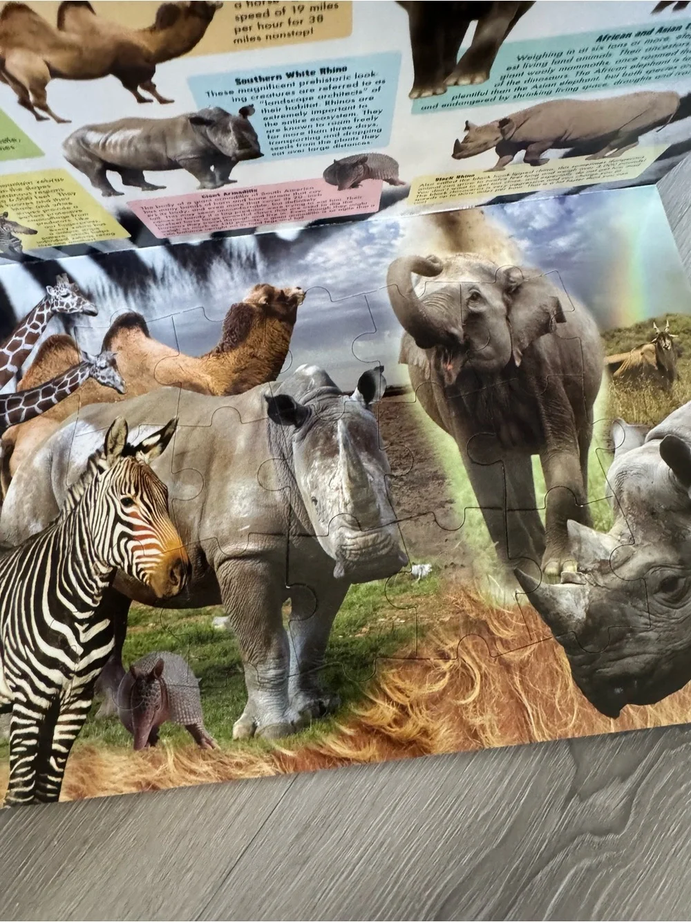 Animal treasures large puzzle book featuring endangered animals